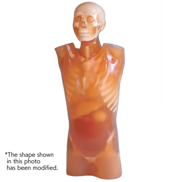 فانتوم قفسه سینه