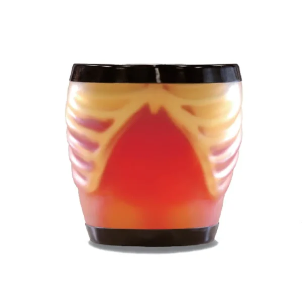 فانتوم نیم تنه سونوگرافی