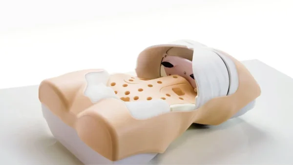 مانکن معاینات بالینی (Physical Exam)