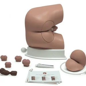 مانکن معاینات رکتال و پروستات