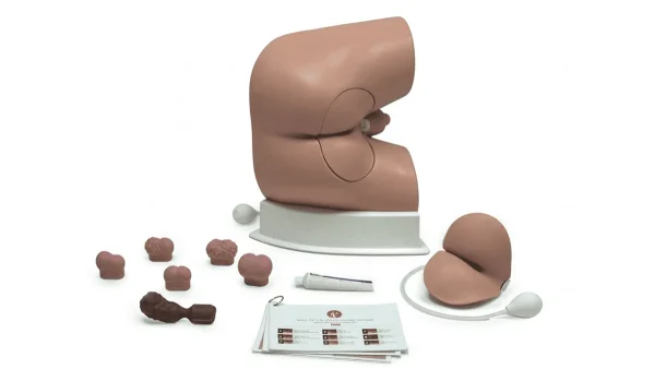 مانکن معاینات رکتال و پروستات