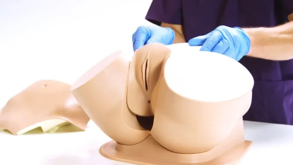 مانکن پیشرفته معاینات زنان