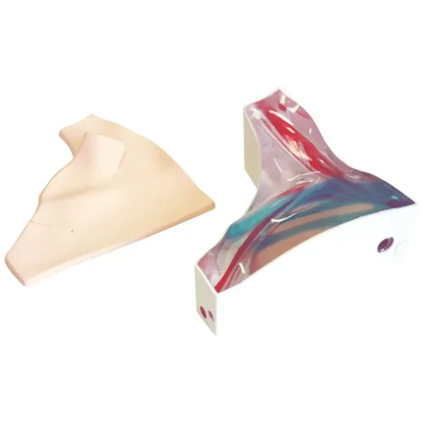 مانکن CVC با قابلیت سونوگرافی