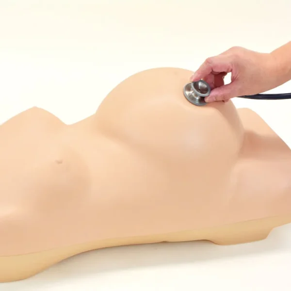 مانکن معاینات مانورلئوپولد و مامایی