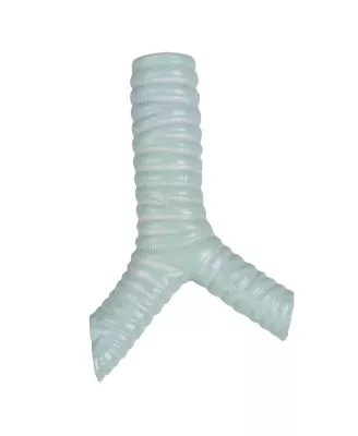 مولاژ نیم تنه با اعماء و احشاء داخلی