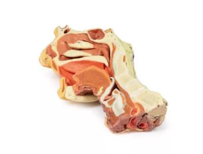 مولاژ نمایش سه بعدی صورت