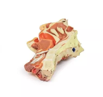 مولاژ نمایش سه بعدی صورت