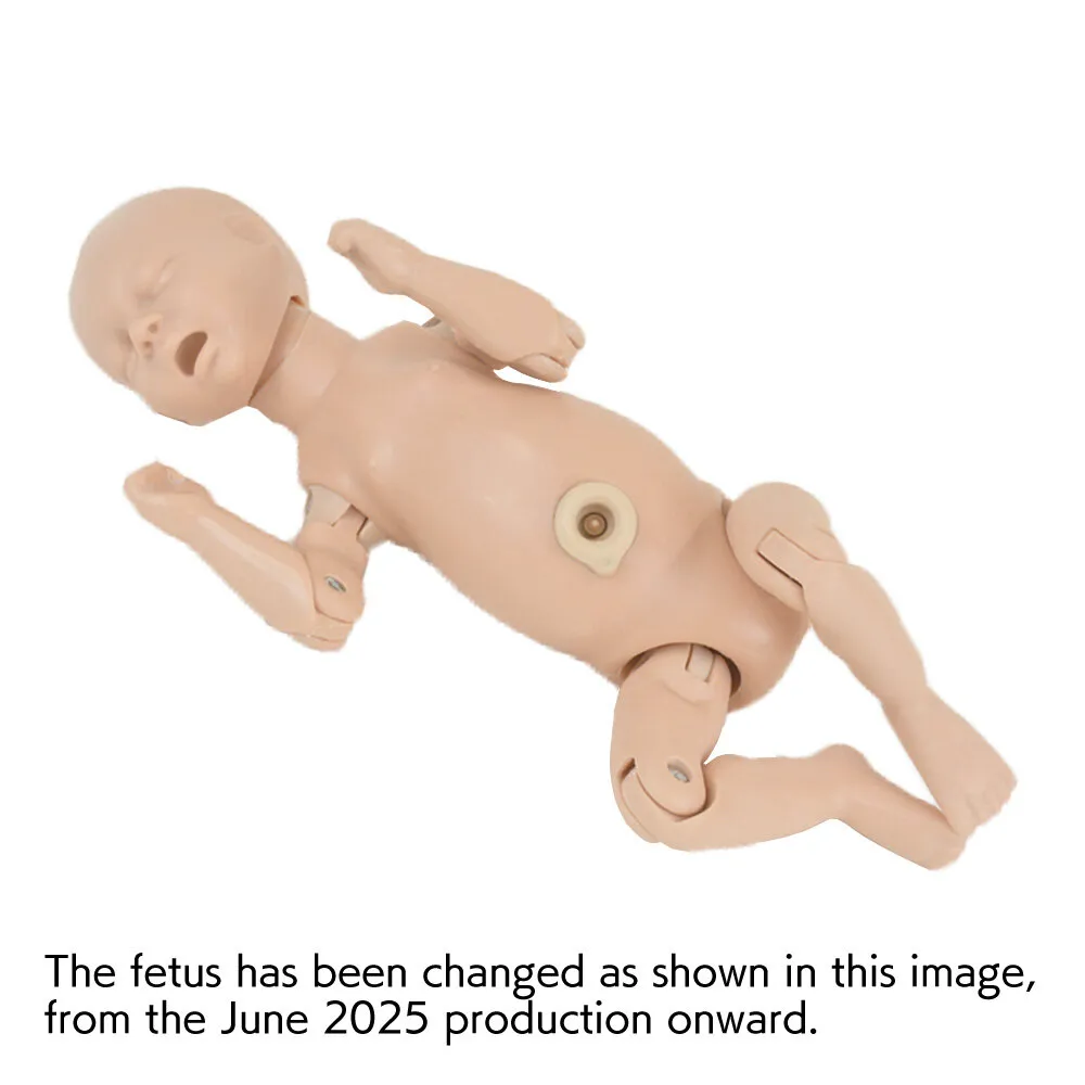 شبیهساز زایمان واژینال - تصویر 4